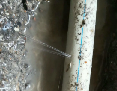 望谟测漏水哪家好