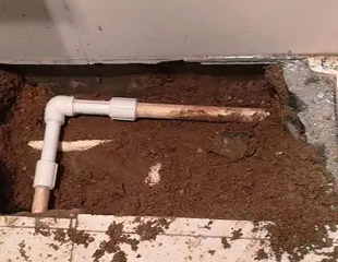 望谟测漏水哪家好