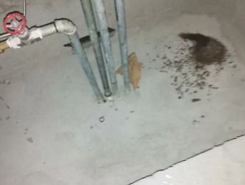 望谟卫生间测漏水价格明细