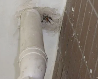 望谟漏水检测哪家好